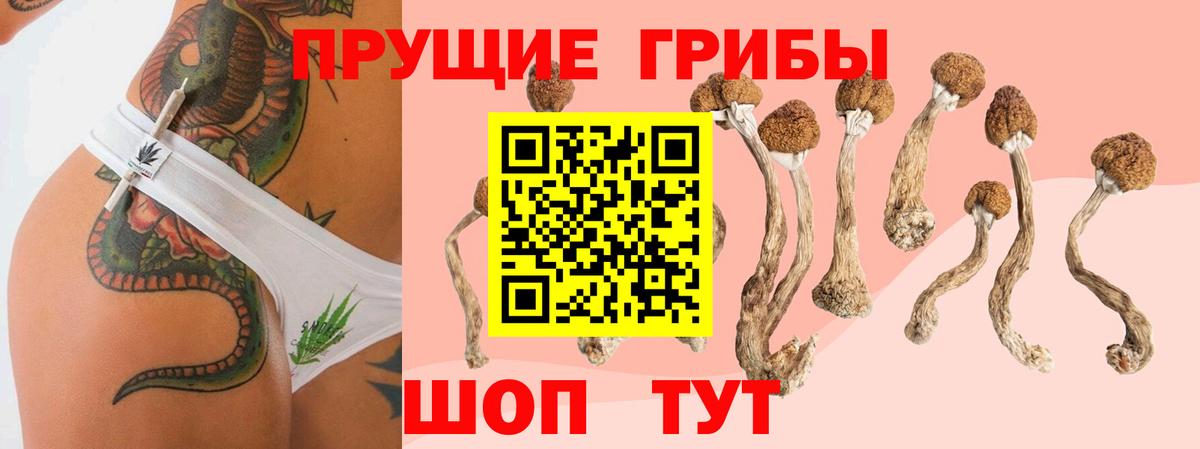 Унеча  Галлюциногенные грибы мицелий  Вход с VPN 